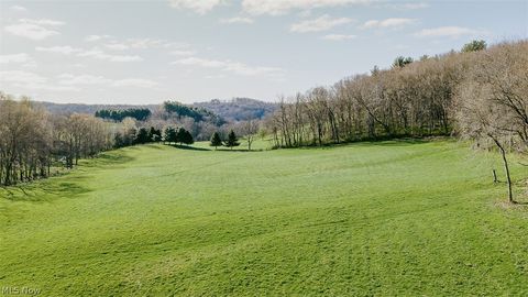 Tiny photo for 7541 Township Road 462, Loudonville, OH 44842 (MLS # 5203588)