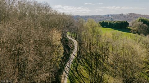 Tiny photo for 7541 Township Road 462, Loudonville, OH 44842 (MLS # 5203588)