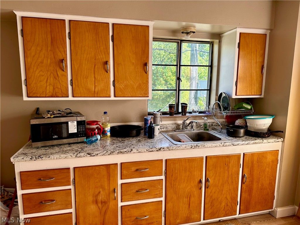 Photo of 1166 E 176th Street, Cleveland, OH 44119 (MLS # 5200901)