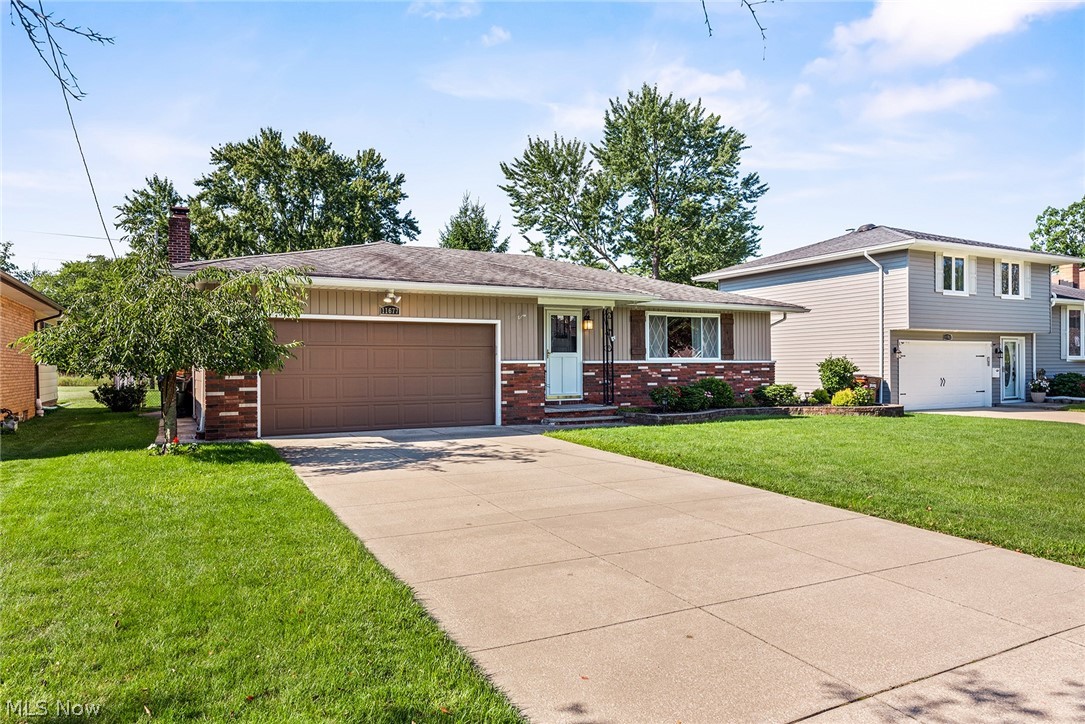 King Pecker 02 - Residential