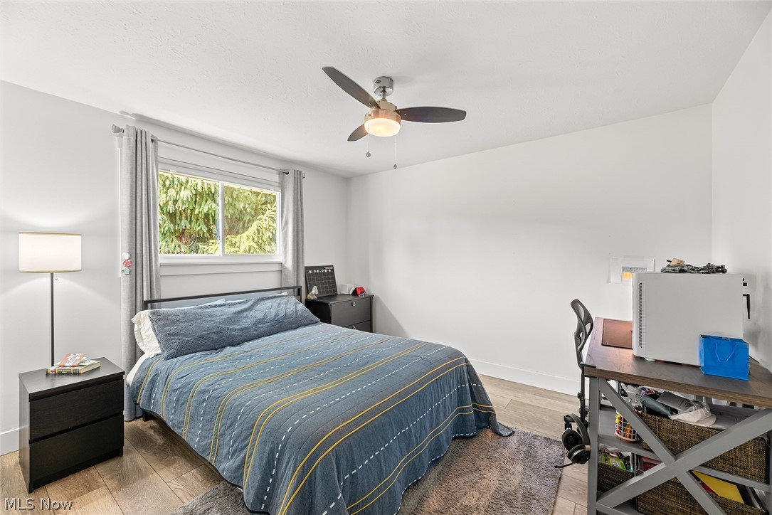 King Pecker 02 - Residential