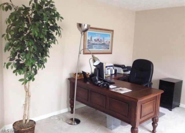 Ridgewood Falls - Residential