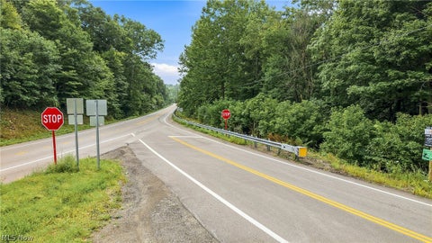 Vacant Land For Sale - State Route 39<br/> Salineville, OH 43945