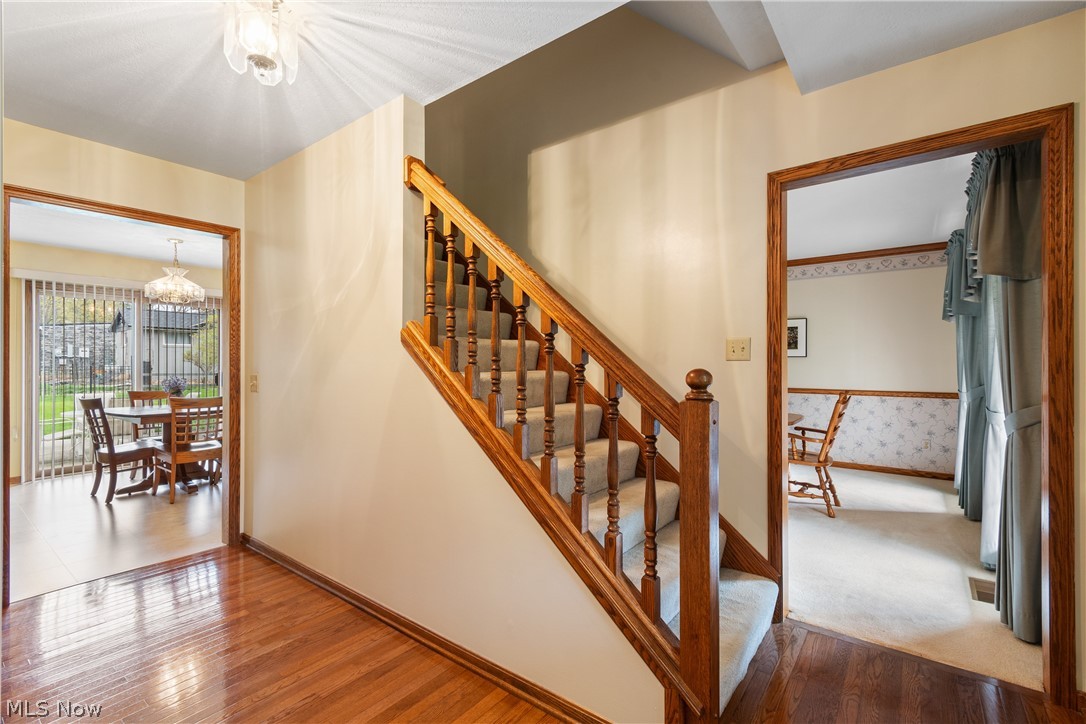 Steiner - Residential