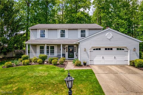 15956 Inglewood Court Strongsville OH 44136