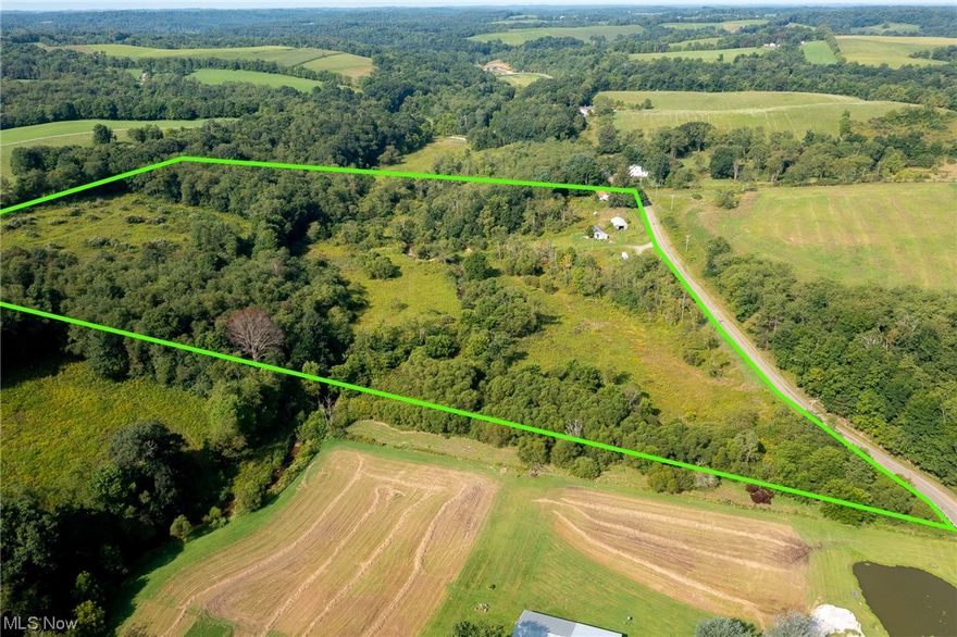 Opportunity galore! Welcome to 102 Aster - this property consists of three parcels, two of which have septic systems. House, trailer, pole barn and 31+ acres. House was lived in 6 months ago but needs a lot of cleaning up to move in.  Property is being sold as-is. Deep mineral rights have been sold off but any remaining rights will convey to new owner(s). Call to set up your private showing before this one is SOLD!