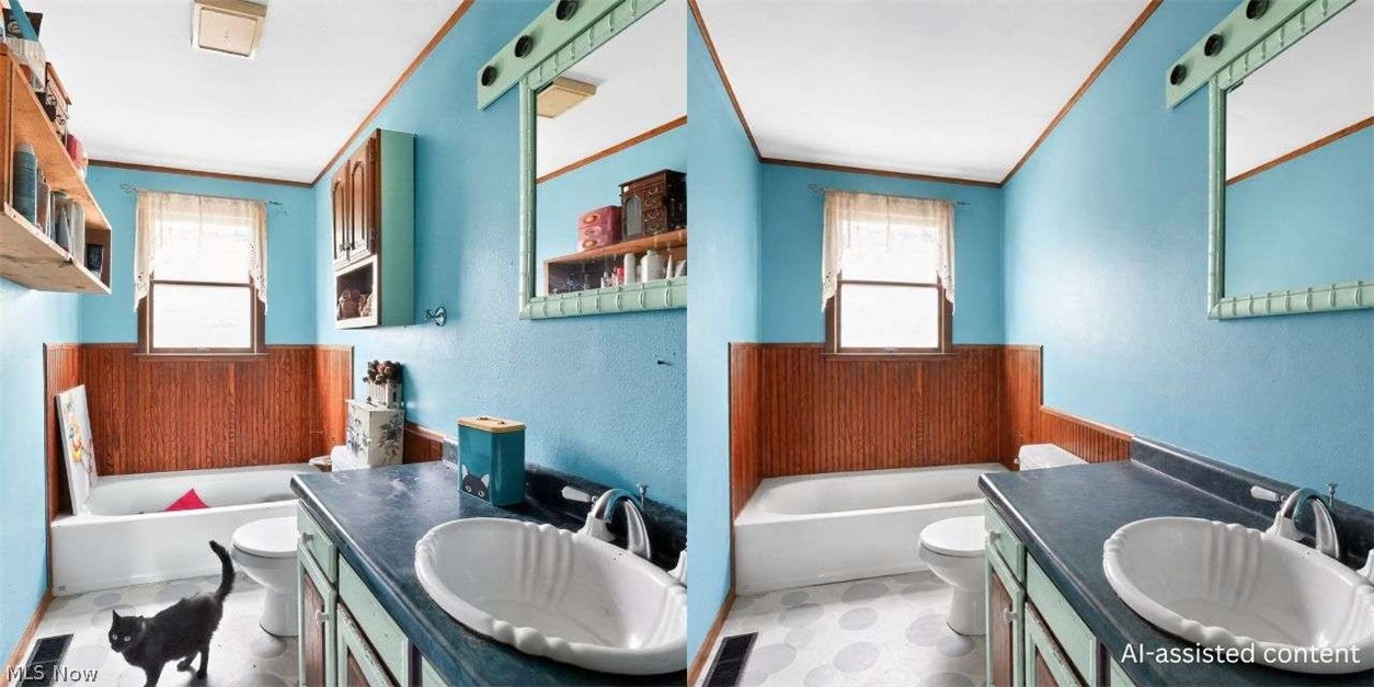 Main image without alt text