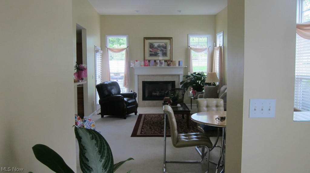 Villas/Spg Lake Condo - Residential