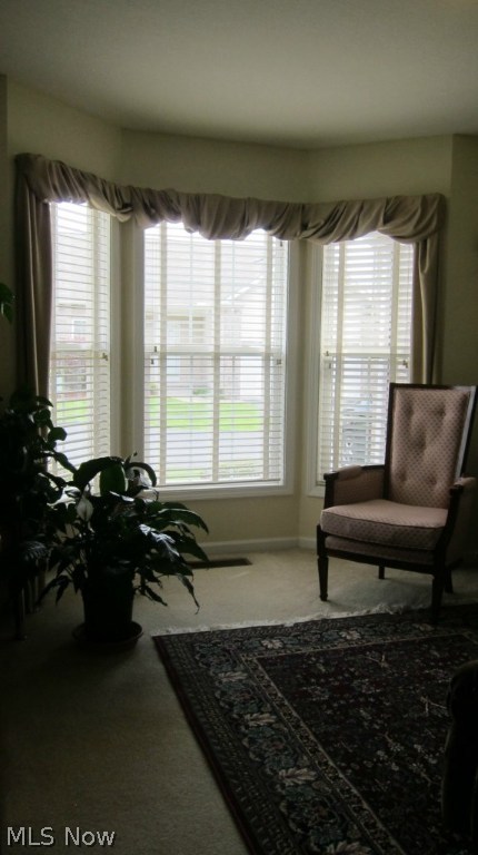 Villas/Spg Lake Condo - Residential