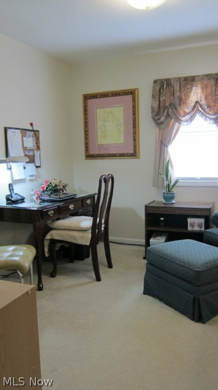 Villas/Spg Lake Condo - Residential