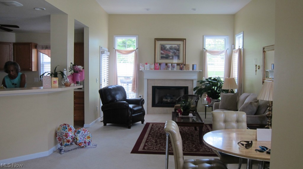 Villas/Spg Lake Condo - Residential