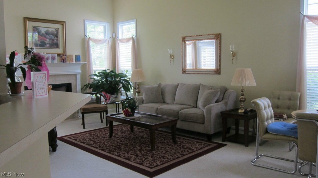 Villas/Spg Lake Condo - Residential