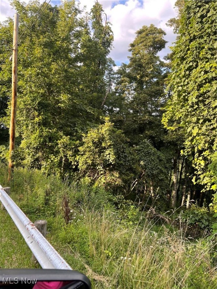 Dream of owning 1.62 wooded acres? Don't miss your chance to purchase this land in a quiet neighborhood at a very reasonable price! Any utility, building, and or permit questions should be directed to the City Manager. Please contact Judi Rash to view this beautiful lot today!