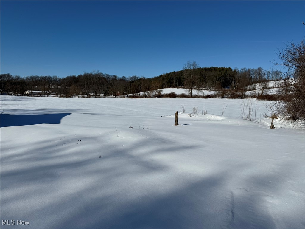 9755 Township Road 262, Millersburg, Ohio image 3