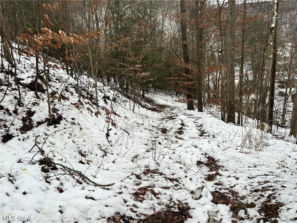 Rt 29/1 Grannies Creek RD.