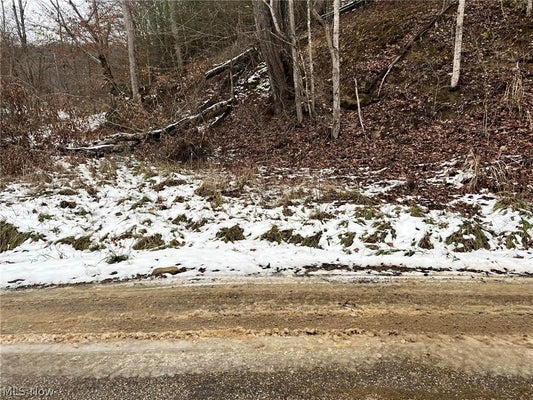 2 GRANNIES CREEK RD, NEWTON, WV 25266 - Image 7fa210e45c21f78eb1b331f8edfde5be/3361938341