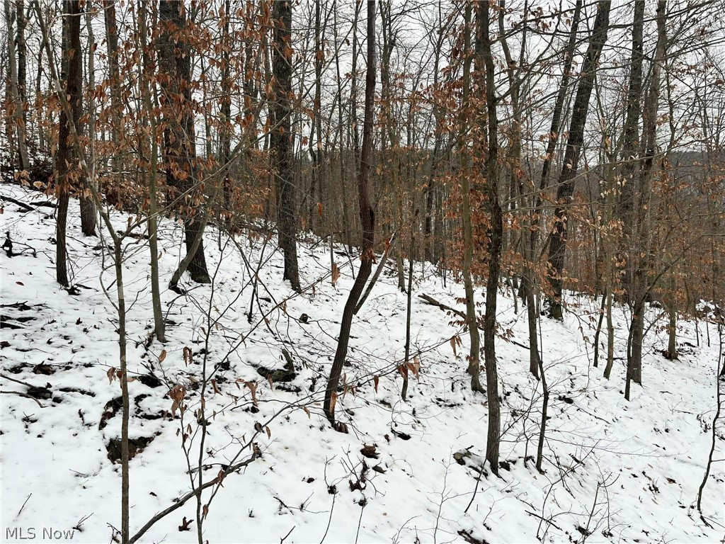 Rt 29/1 Grannies Creek RD.