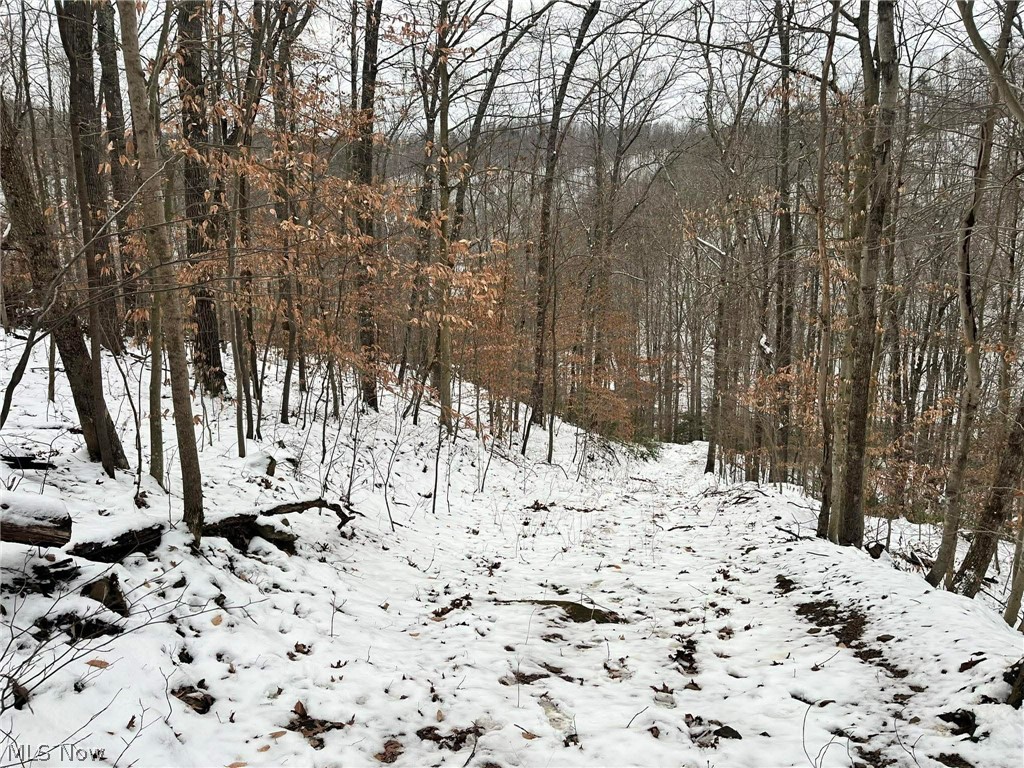 Rt 29/1 Grannies Creek RD.