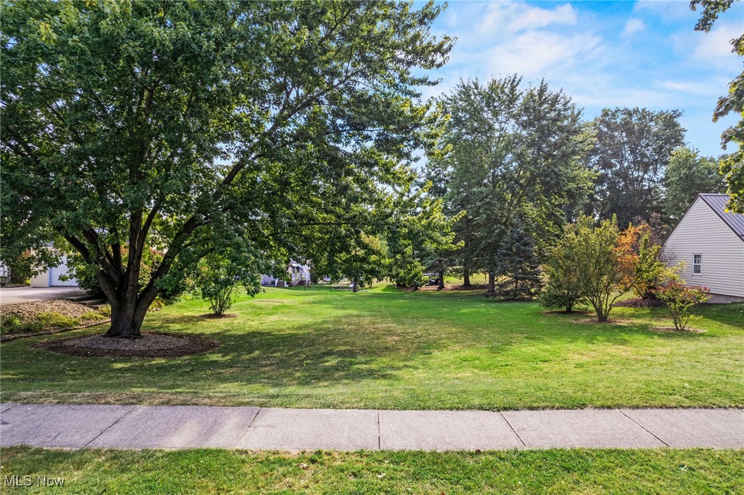 Don't wait on this one! One of the last available building lots in all of Westfield Center is ready for your dream home! This beautiful piece of land sits just north of the iconic circle in Westfield Center and minutes to highway access for 71/224/76. There is .41 acre, 98 feet of frontage, and 151' depth. Call today to schedule a private tour!