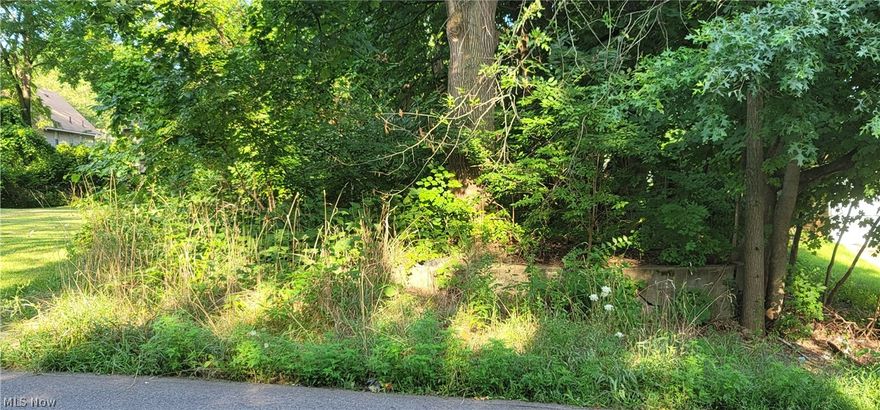 Lot for sale in North Akron. Adjacent lot also for sale.