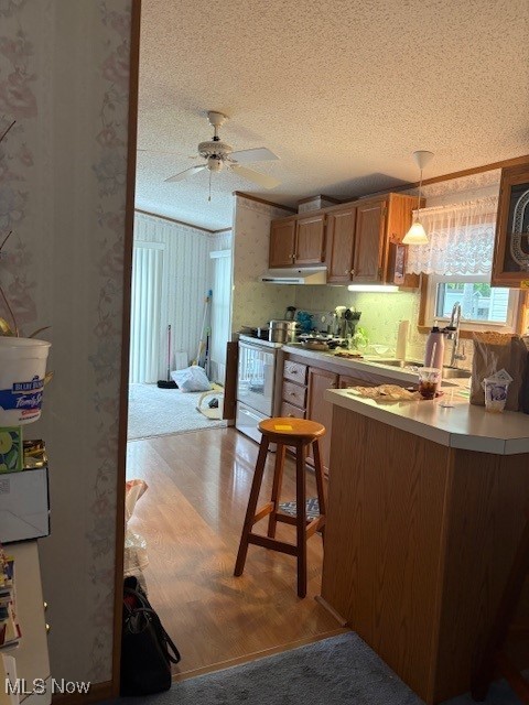 134 Northgate Dr, Warren, Ohio image 6