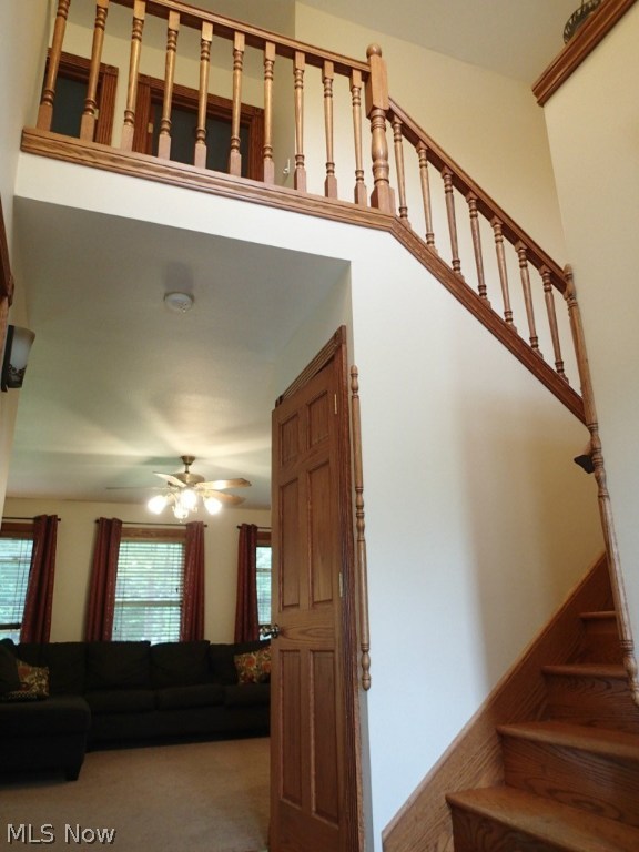 Wilson S W - Residential