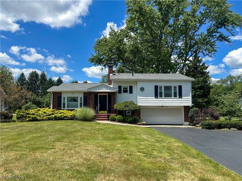 Homes For Sale - 2007 Silver Fox Lane<br/> Trumbull County, Warren, OH 44484