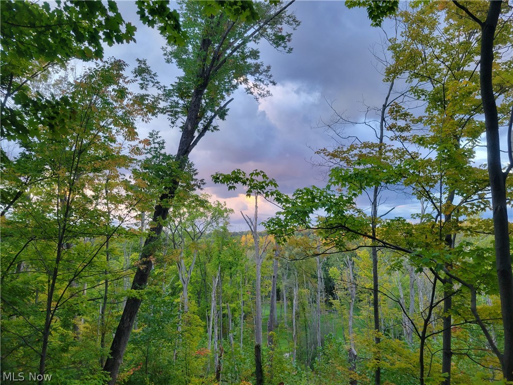 Parkview Meadows - Residential