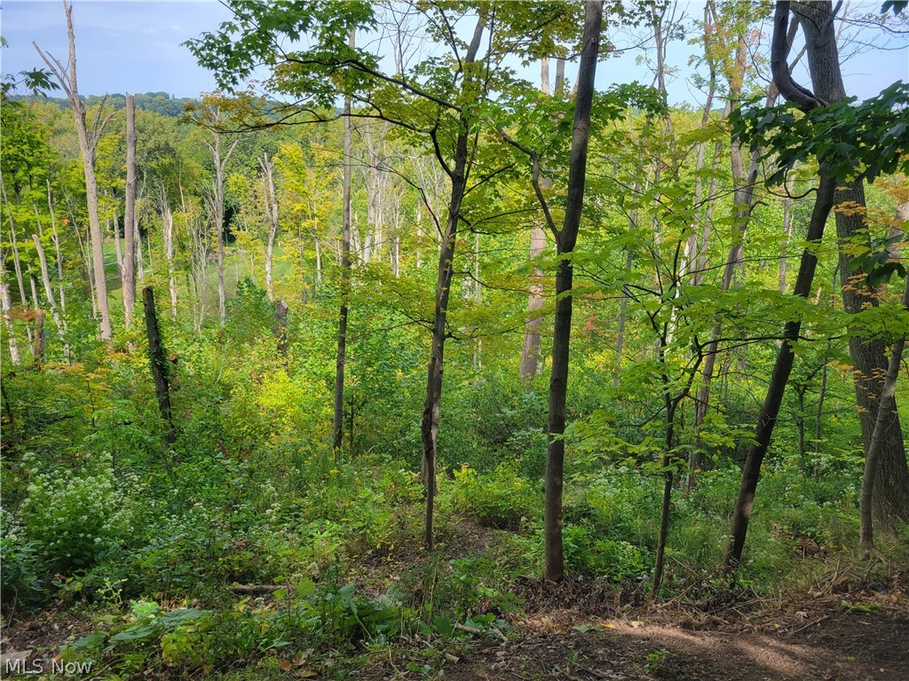 Parkview Meadows - Residential