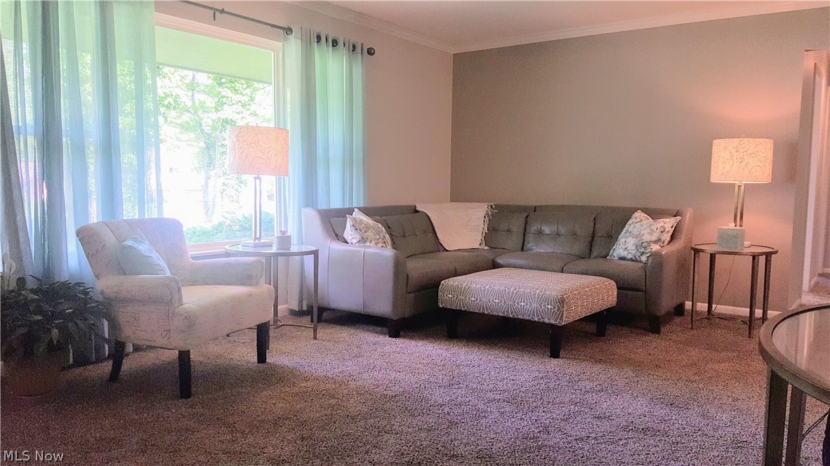 Brady Lane - Residential