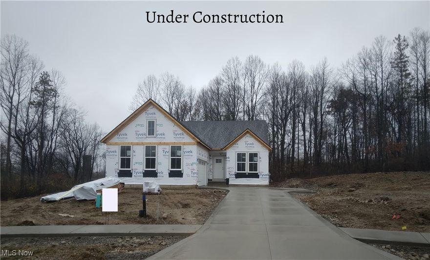 New construction ready for move in January 2026! Brand new Drees Homes Yakima ranch plan in our new Medina community, Lakeview Pines.  Located in the highly rated, Highland School District and Montville Township. This home offers a unique courtyard garage leading into a large family foyer with built in bench seat and closet along with large laundry room.  The kitchen boasts of quartz countertops, two tone upper white cabinets and burlap base cabinets for a custom feel.  Off the kitchen/dining is a beautiful sunroom which leads to the cozy, private covered porch.  The family room fireplace is stone from floor to ceiling creating a wonderful gathering space for family and friends.  The spacious primary suite includes an elegant super shower and large walk-in closet.  This is a must see.  Be the first to own the Yakima!  Photos for illustrative purposes only.