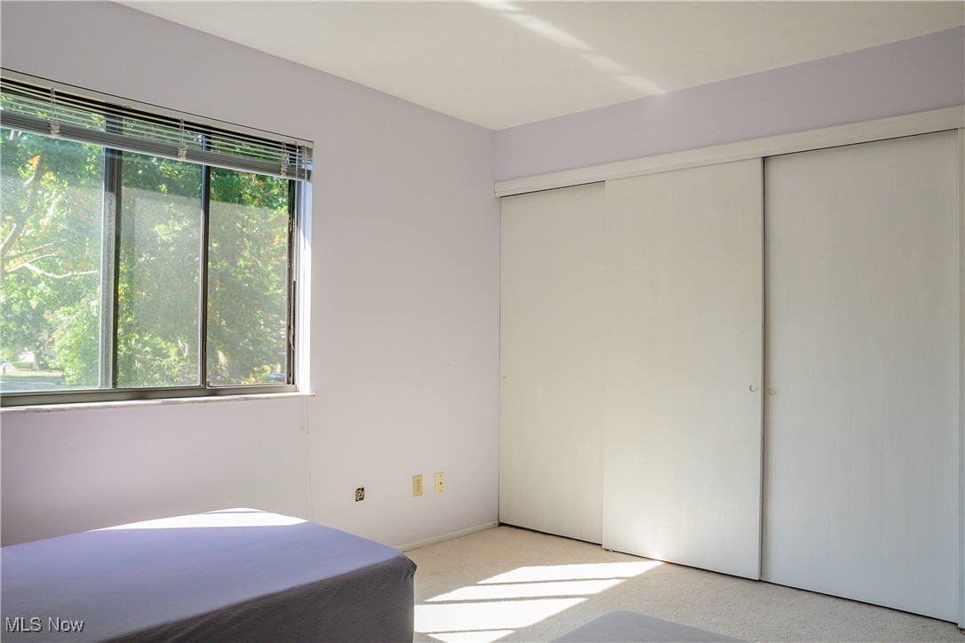 Cedarwood Vill Condo - Residential