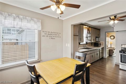 Tiny photo for 7416 Wefel Avenue, Brooklyn, OH 44144 (MLS # 5202102)