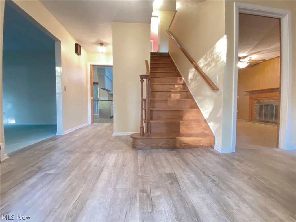 Forest Meadows - Residential