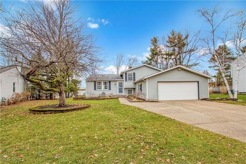 Photo of 15724 Sassafras Drive, Strongsville, OH 44136 (MLS # 5178948)