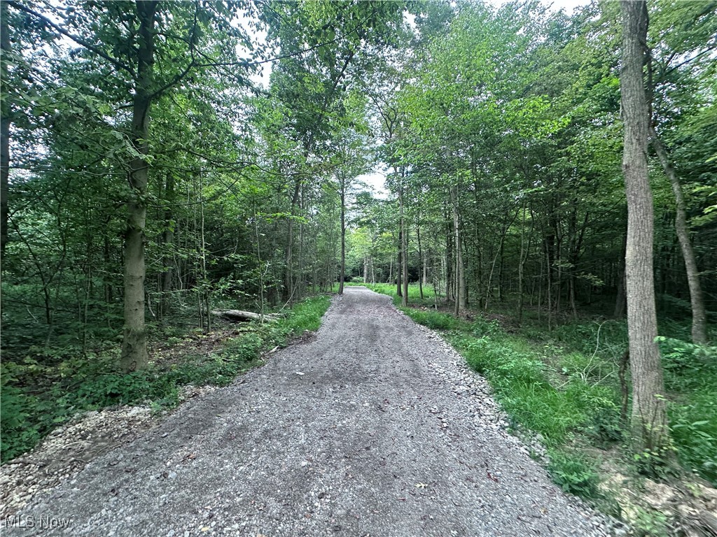 Berlin Center, Ohio 44401, United States, ,Land,Active,188398