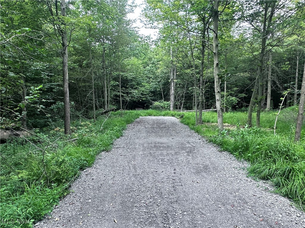 Berlin Center, Ohio 44401, United States, ,Land,Active,188398