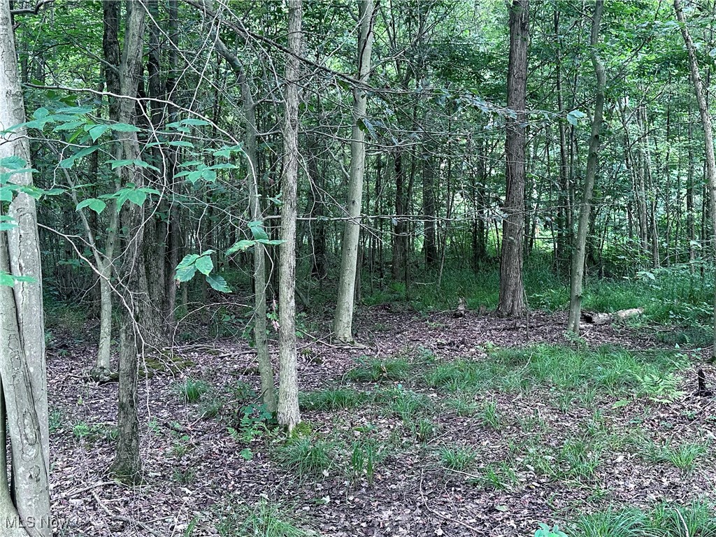 Berlin Center, Ohio 44401, United States, ,Land,Active,188398