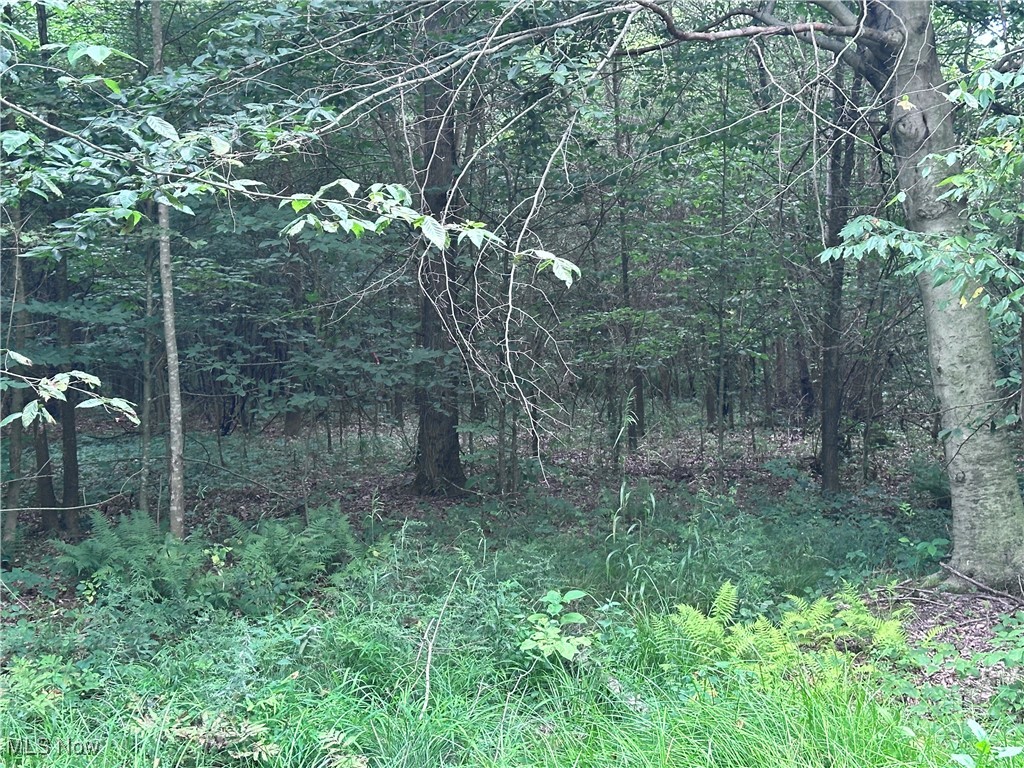 Berlin Center, Ohio 44401, United States, ,Land,Active,188398