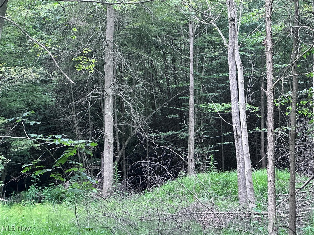 Berlin Center, Ohio 44401, United States, ,Land,Active,188398