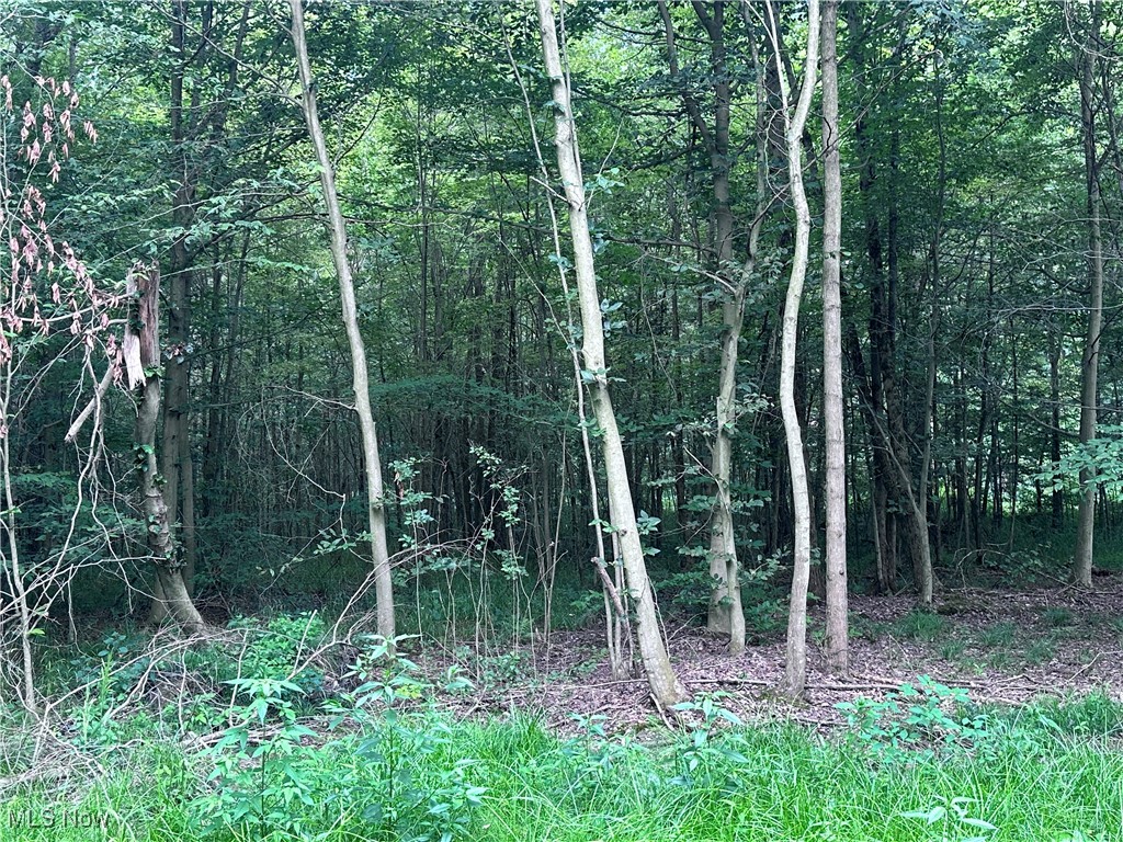 Berlin Center, Ohio 44401, United States, ,Land,Active,188398