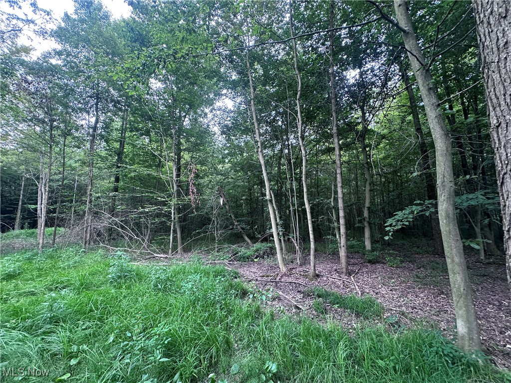 Berlin Center, Ohio 44401, United States, ,Land,Active,188398