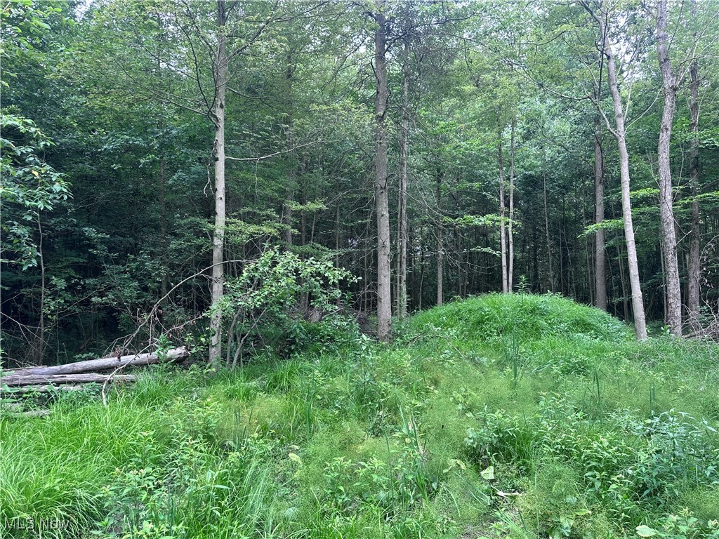 Berlin Center, Ohio 44401, United States, ,Land,Active,188398