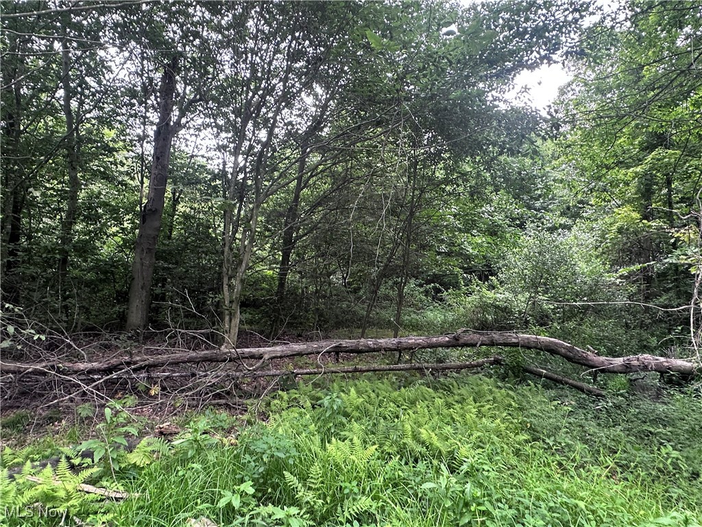 Berlin Center, Ohio 44401, United States, ,Land,Active,188398