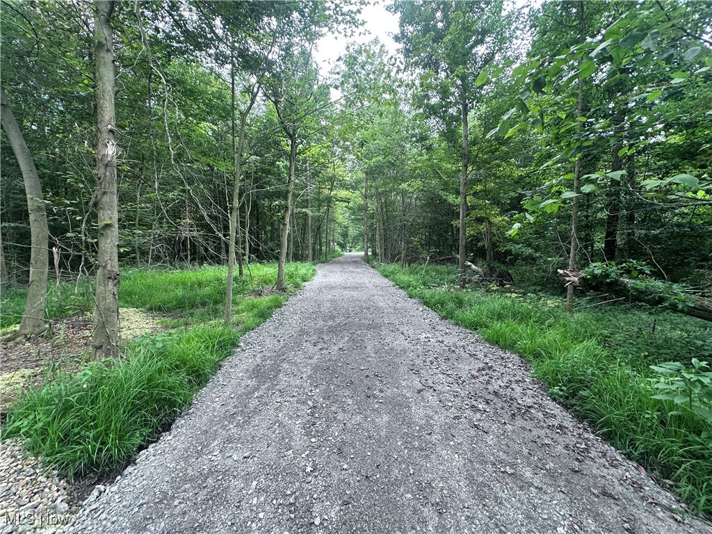 Berlin Center, Ohio 44401, United States, ,Land,Active,188398