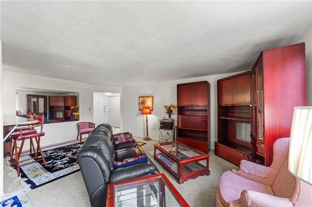 Carlton House Condo - Residential