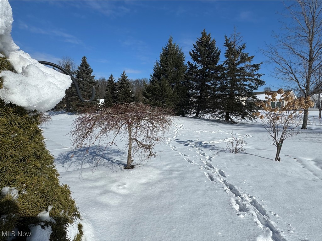 Pioneer Ridge Sub - Residential