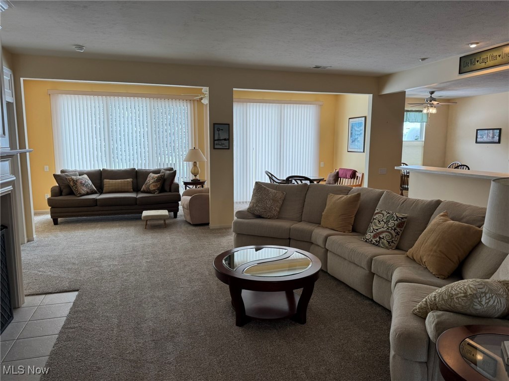 Pioneer Ridge Sub - Residential