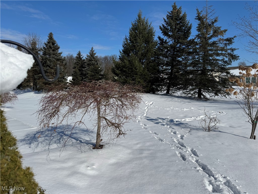 Pioneer Ridge Sub - Residential