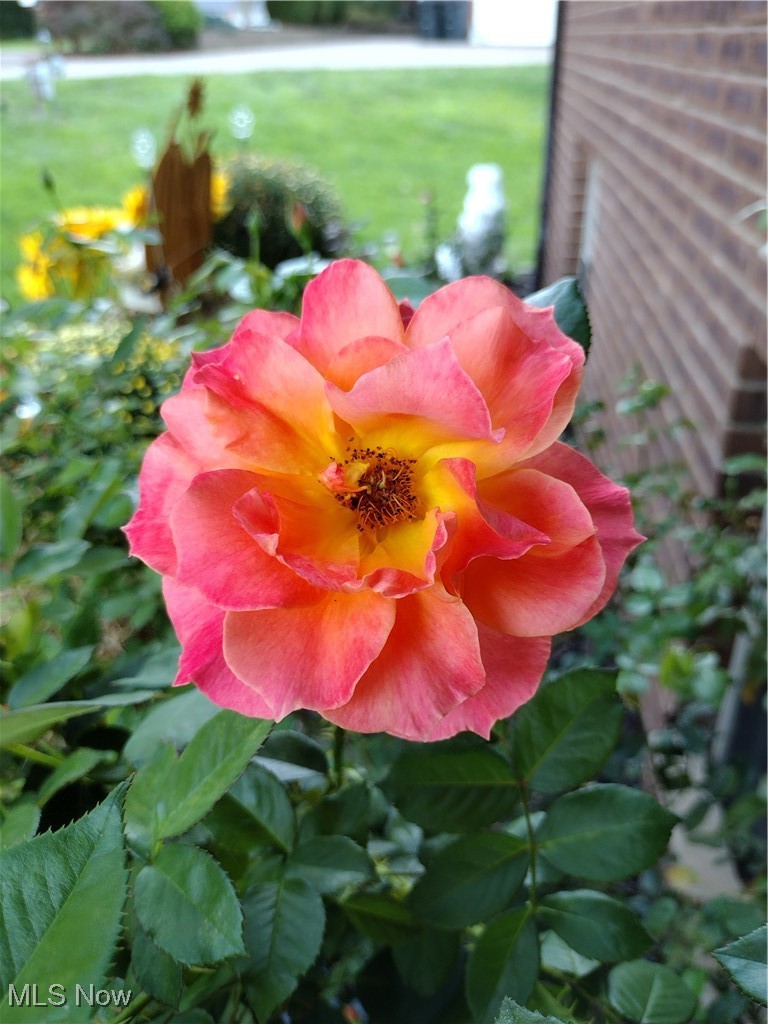 Mustang Acres Adn - Residential